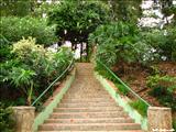 Jardín Botánico - SAN JUAN
